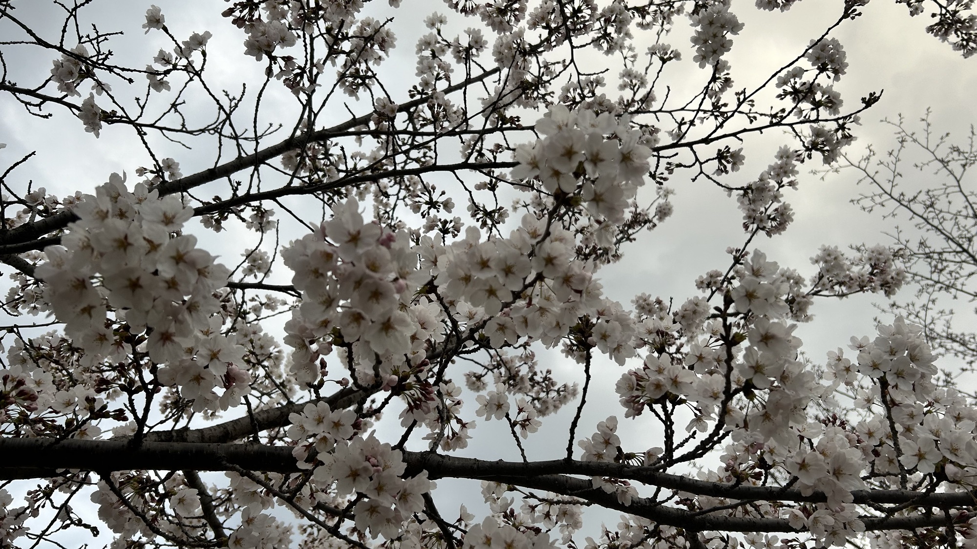 0401-0407 주간일기