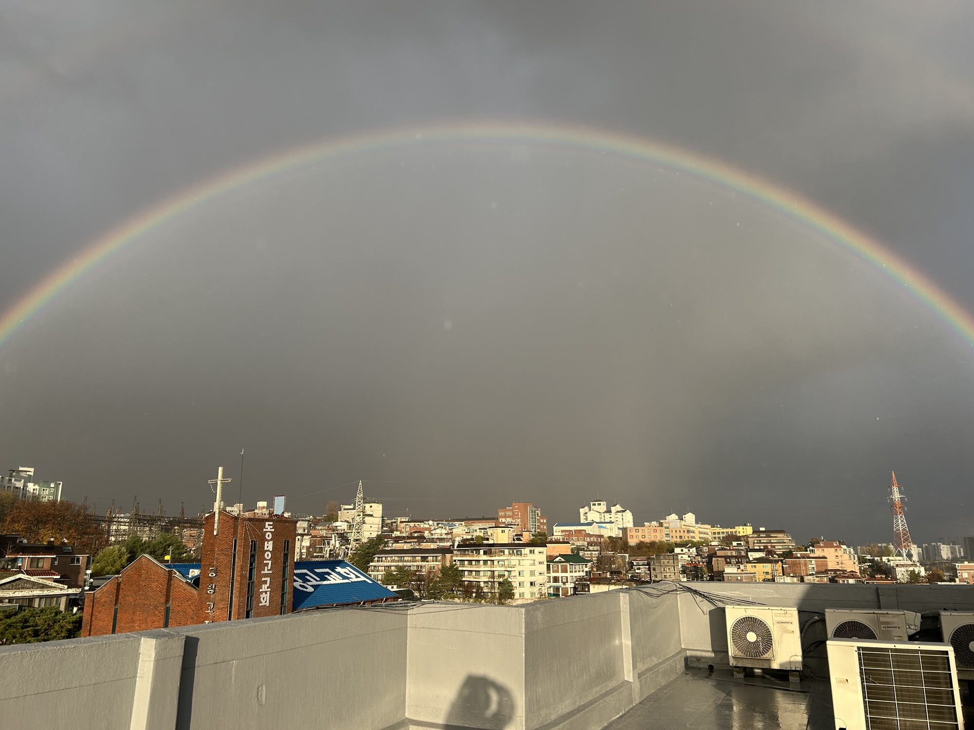 1125~1201 주간일기