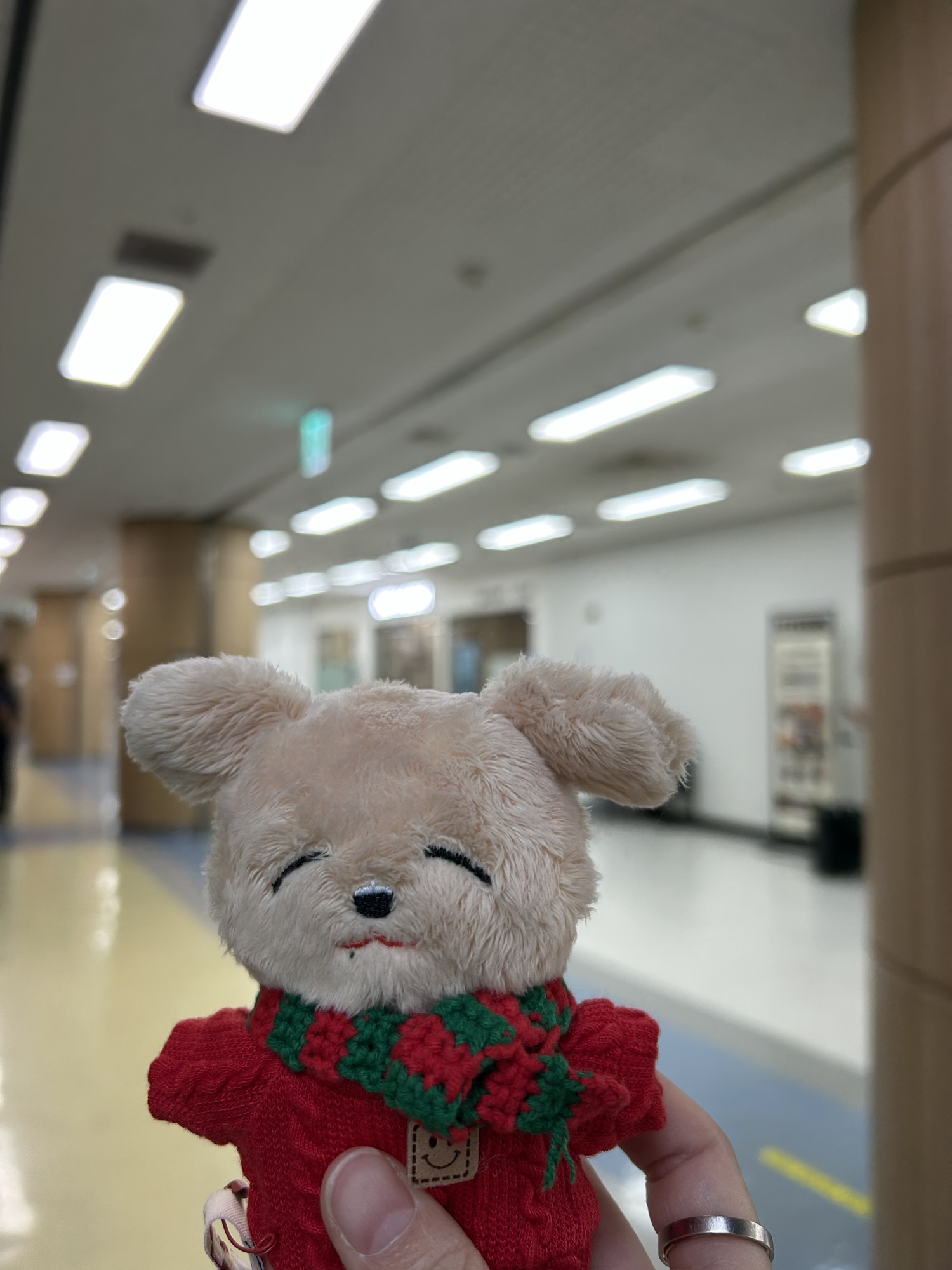 1209-1215 주간일기