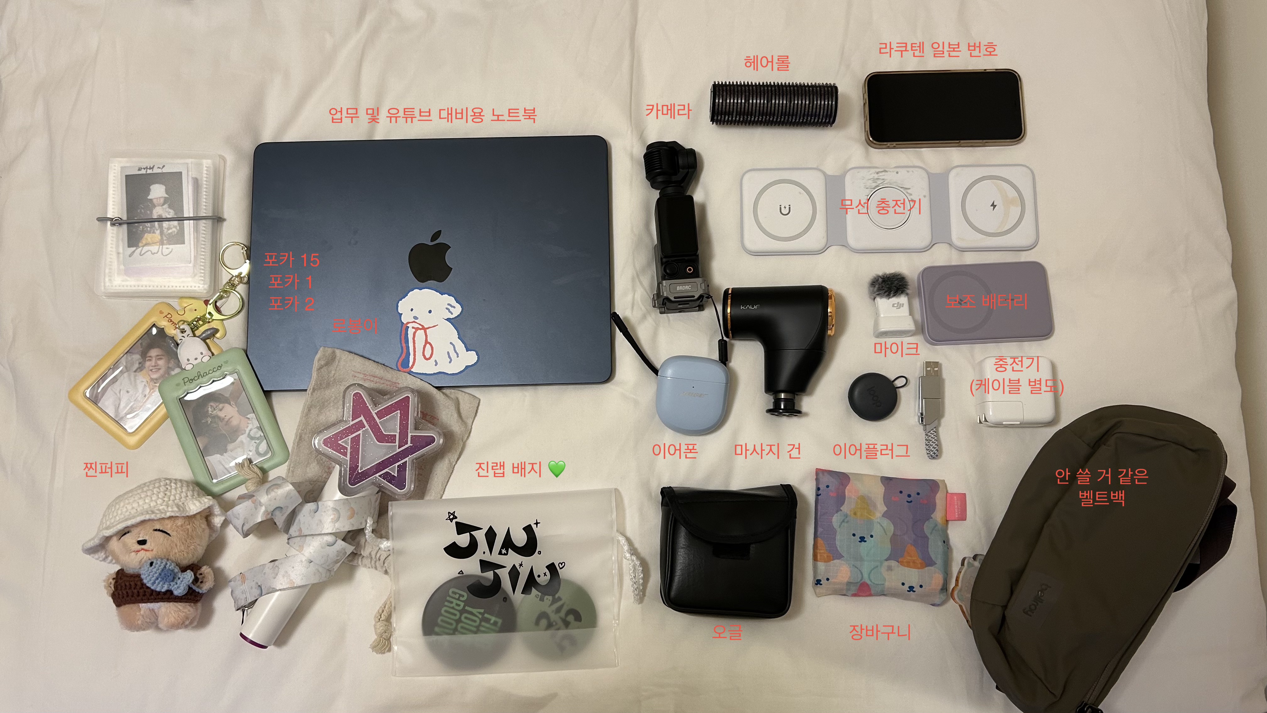 진랩 일본 여행 뭐 쌌나