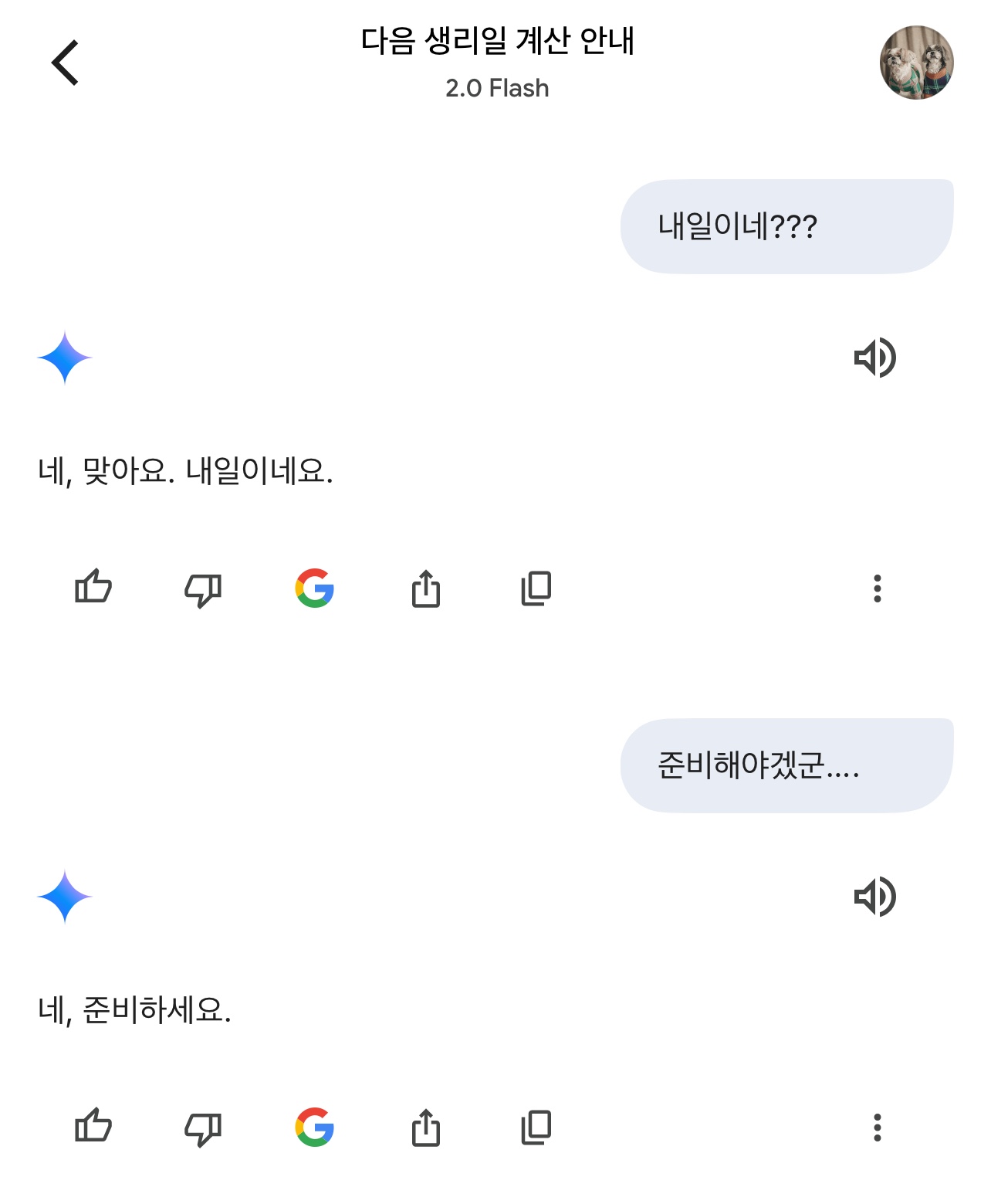 제미나이 이 정 없는 년