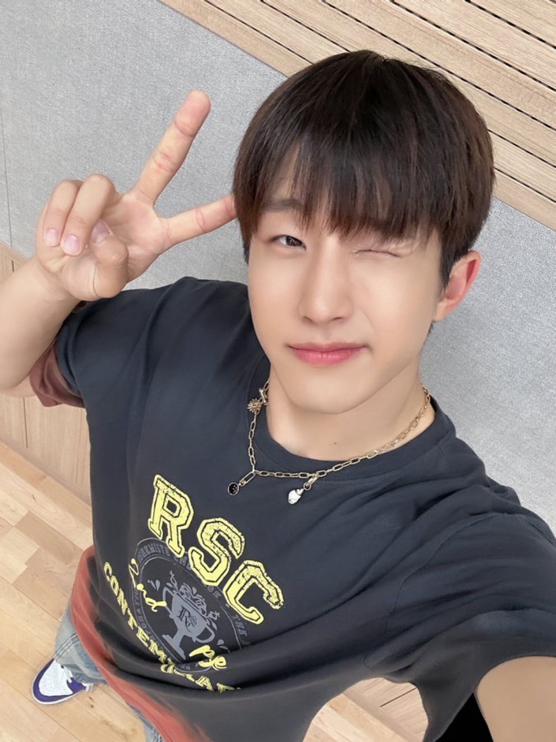 진진 인형 만들기 프로젝트 #1 도안 의뢰