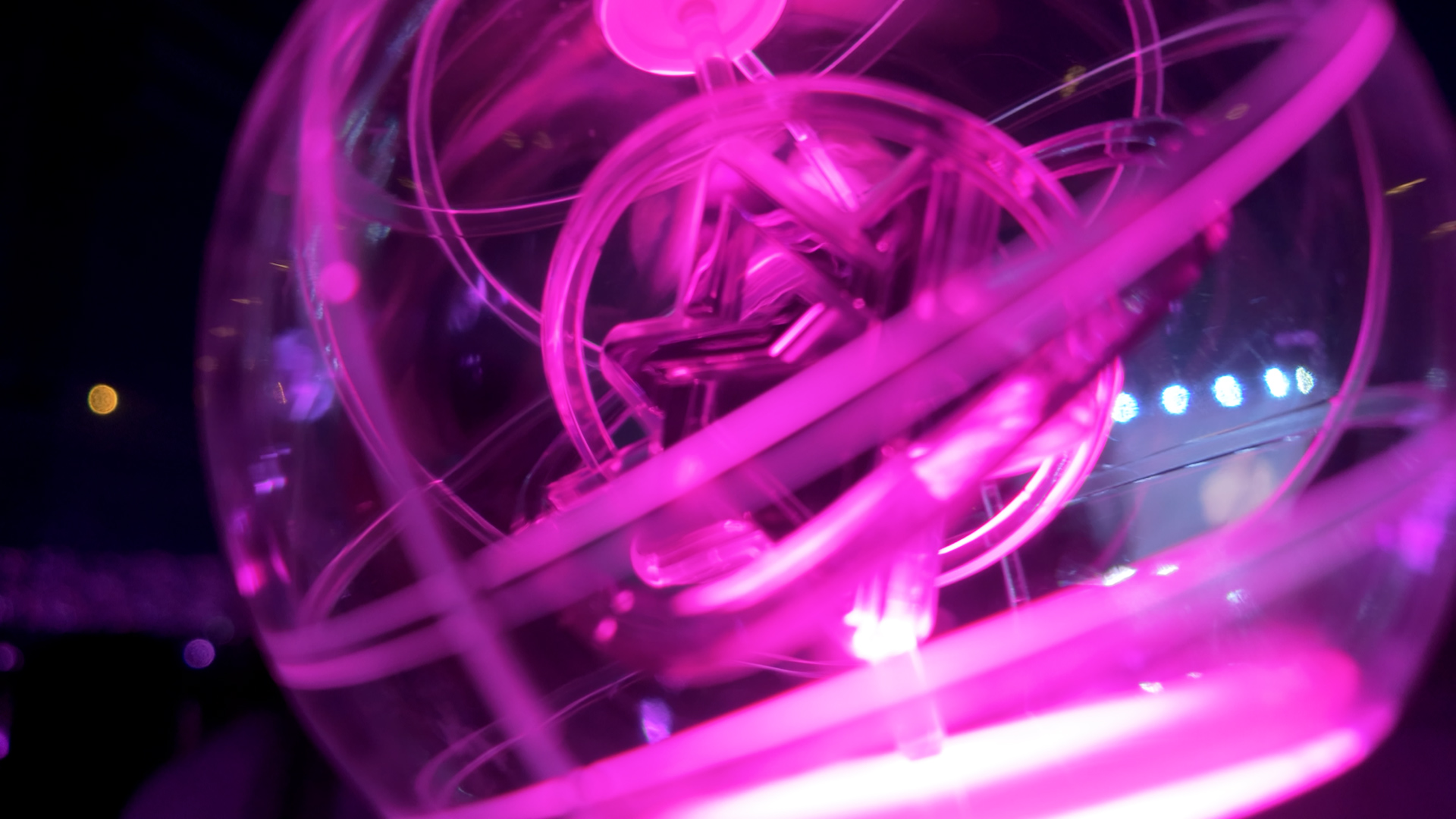 스타그래피, 후쿠오카 여행 3일차, 6월 29일, 콘서트 #2