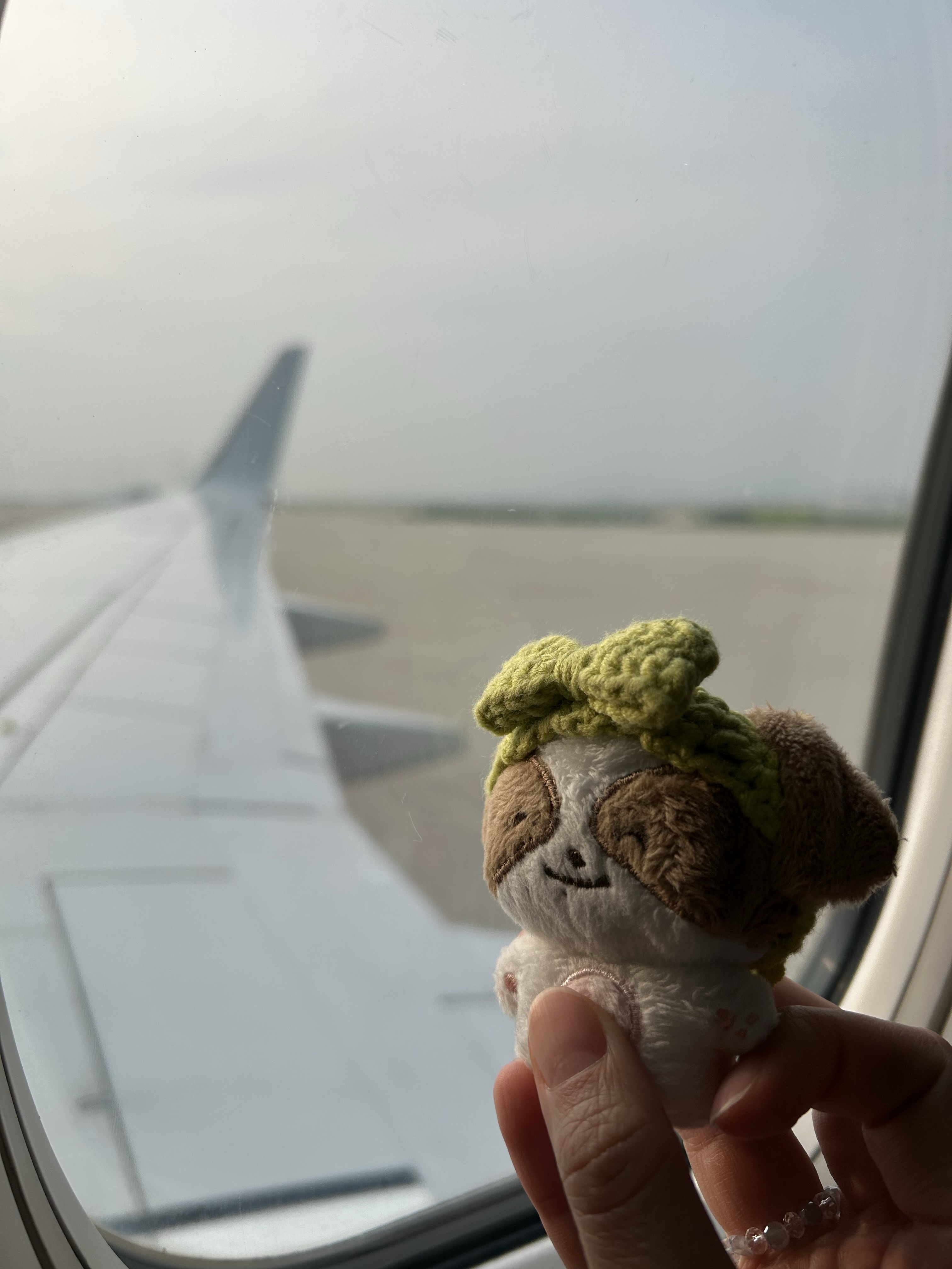 토요일 일기 이어서