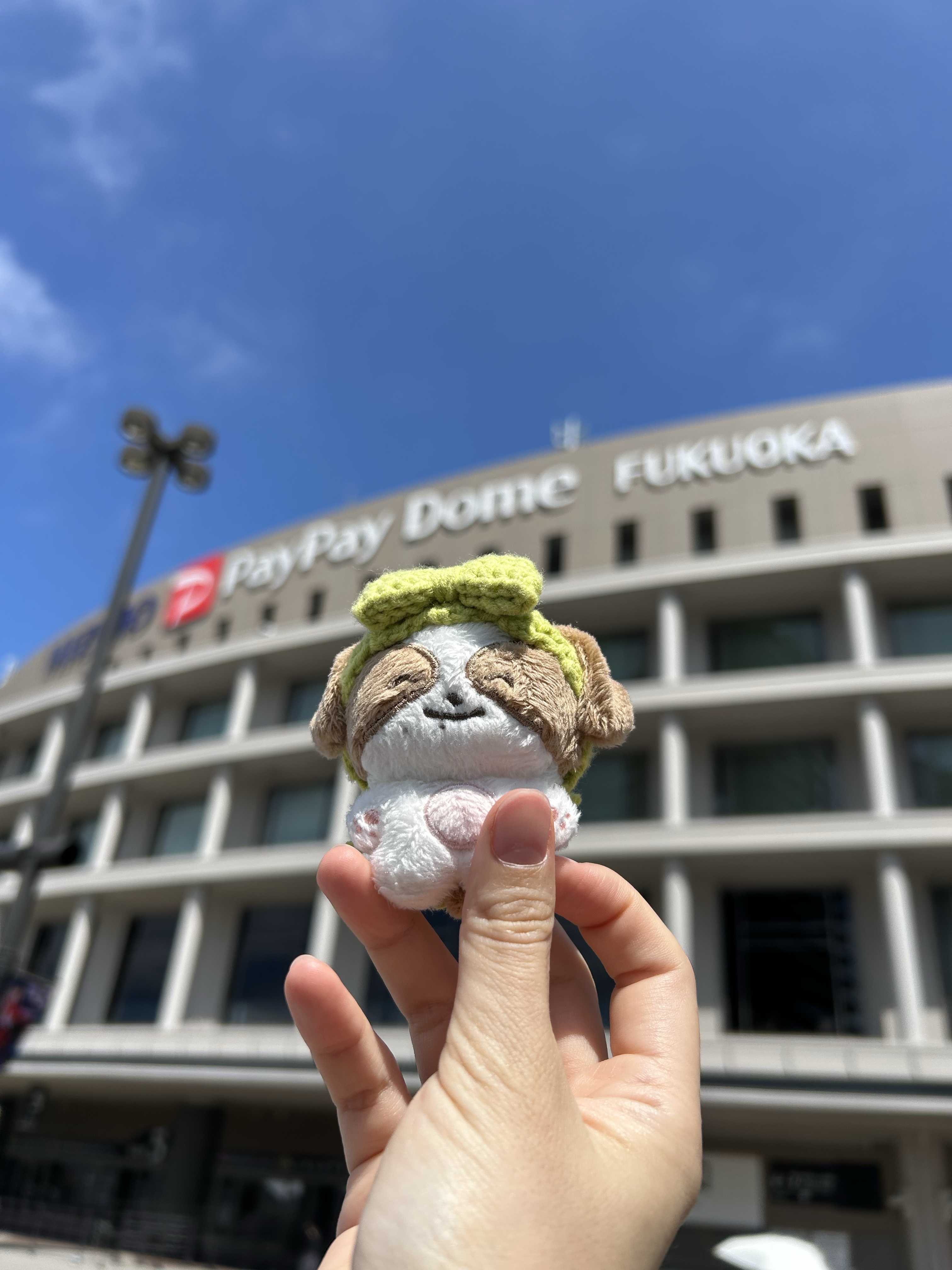 스타그래피 후쿠오카 여행 2일차, 6월 28일, 콘서트 #1